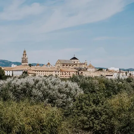 San Rafael 2 - Parking Gratuito